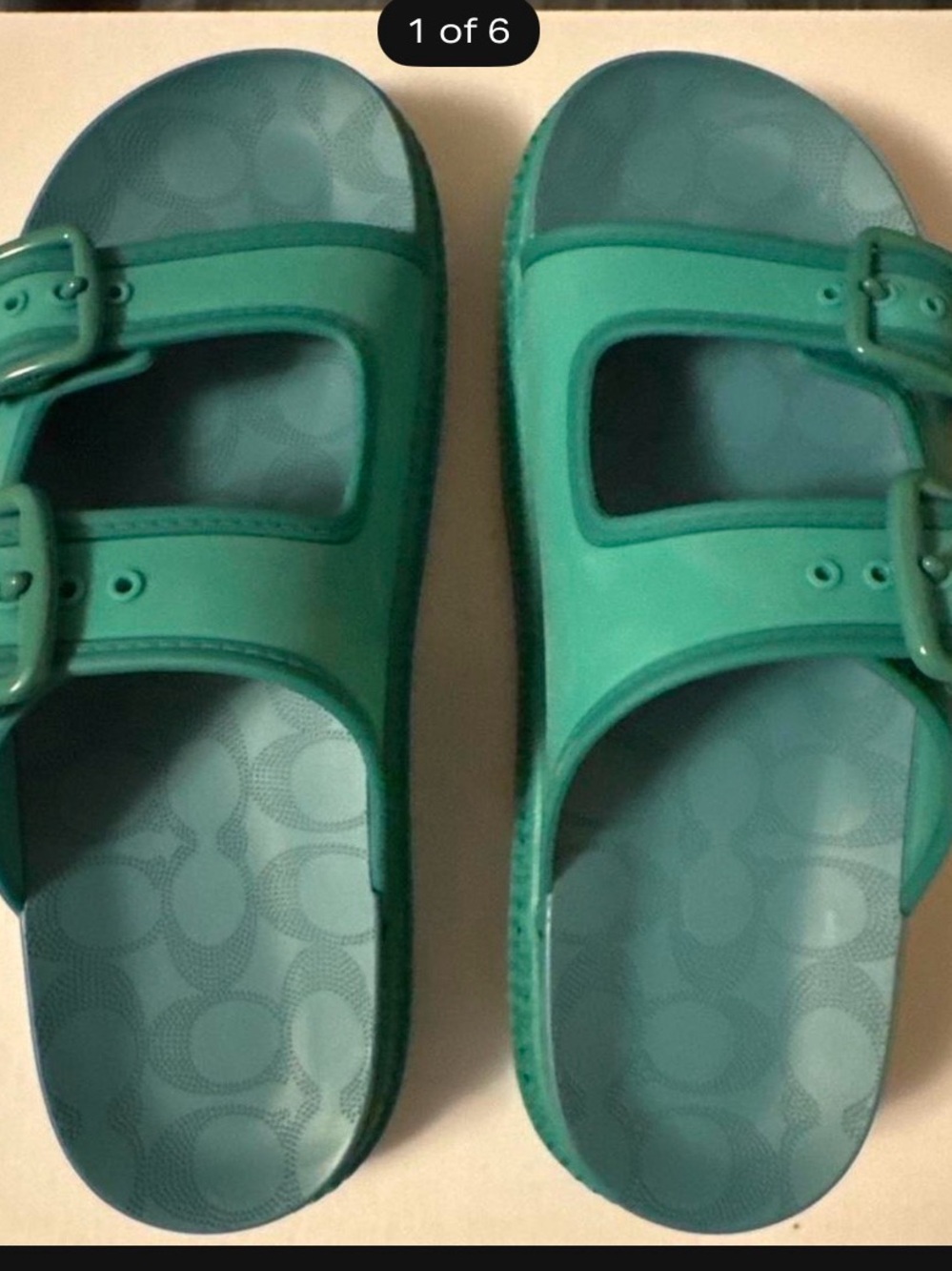Coach Lainey Rubber Sandals